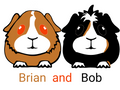 brianandbob