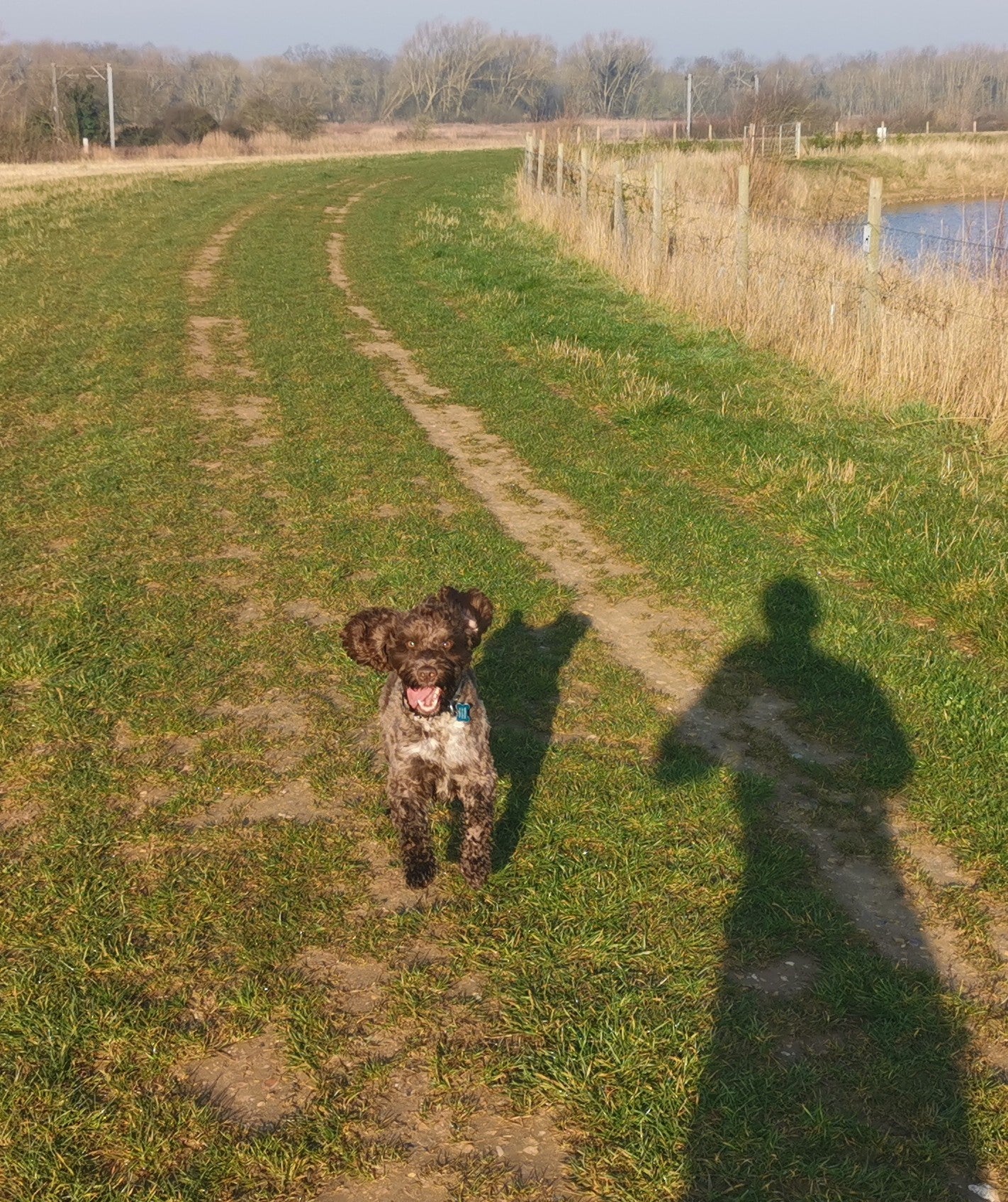 Walk Your Dog With Love Hidden Team