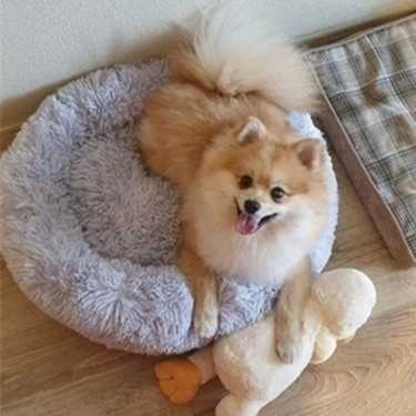Calming Donut Dog Bed