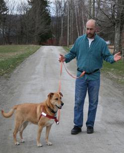 Walk Your Dog With Love - Running Belt