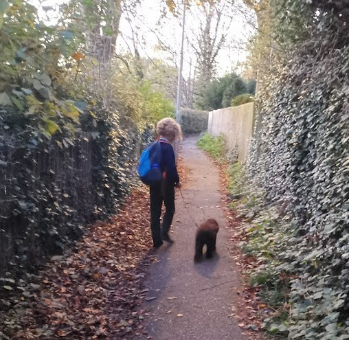 Why Walk Your Dog With Love is Our Go-To Harness