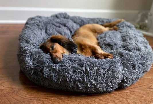 The Comfort and Benefits of a Soft Donut Bed for Your Dog