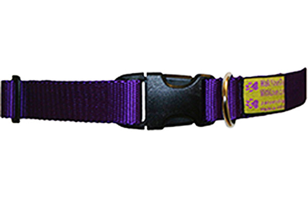 Walk Your Dog With Love - Luxury Collar - Purple